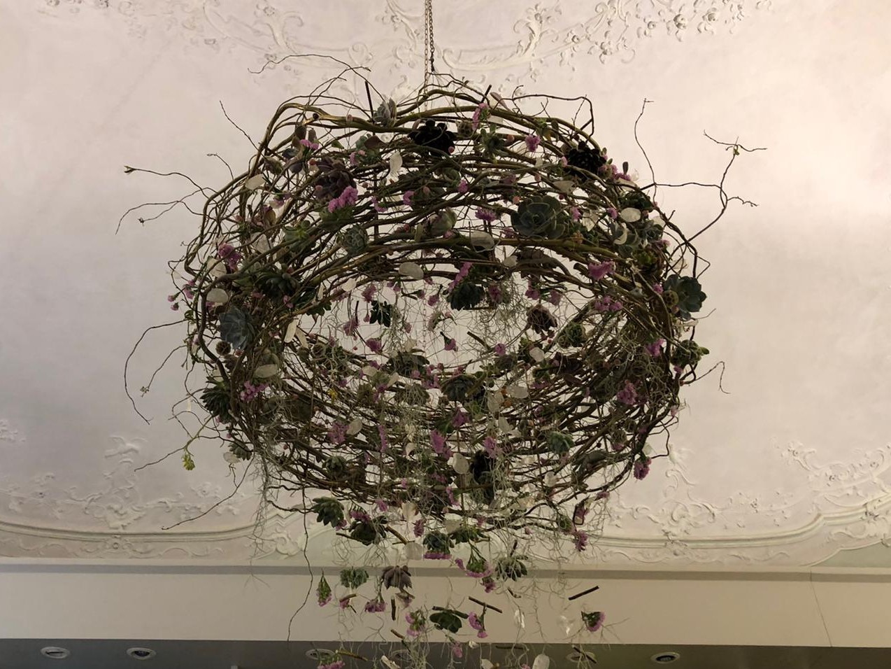 INSULI ad EUROFLORA 2022